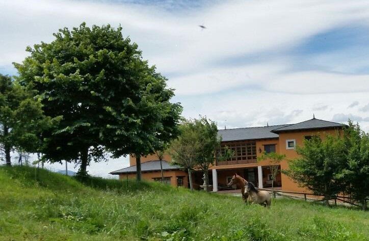 Villayón Hotel Rural Yeguada Albeitar מראה חיצוני תמונה