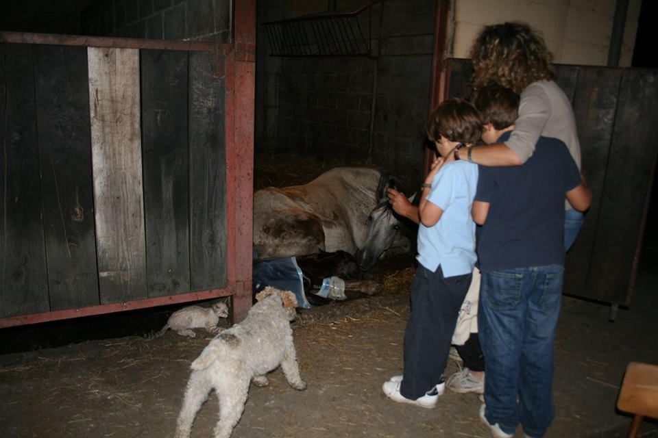 Villayón Hotel Rural Yeguada Albeitar מראה חיצוני תמונה